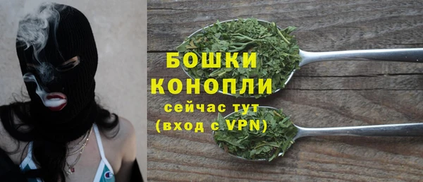 стаф Елабуга