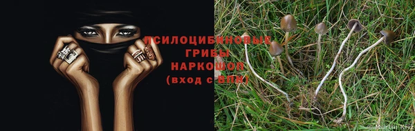 стаф Елабуга